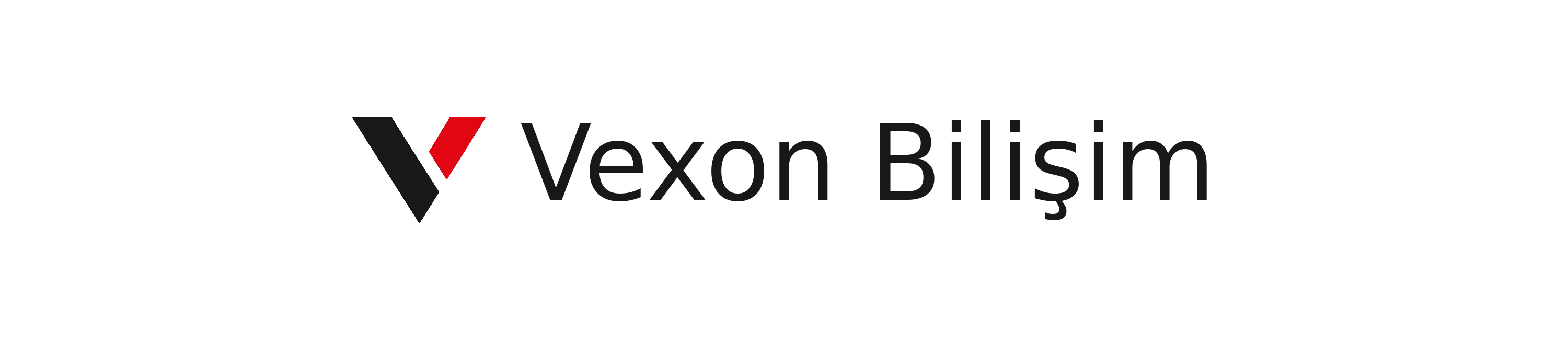 Vexon Bilişim